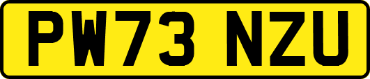 PW73NZU