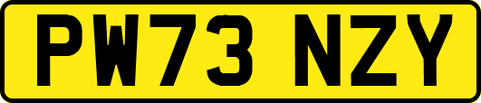 PW73NZY
