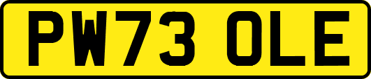 PW73OLE