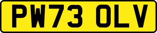 PW73OLV