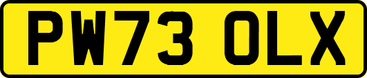 PW73OLX