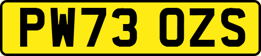 PW73OZS