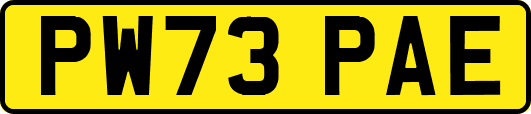 PW73PAE