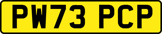 PW73PCP