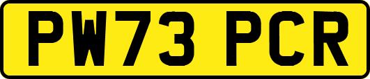 PW73PCR