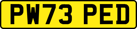 PW73PED