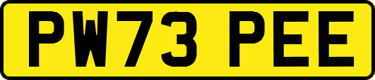 PW73PEE