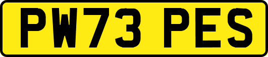 PW73PES