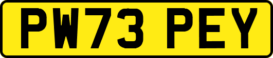PW73PEY