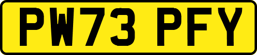 PW73PFY