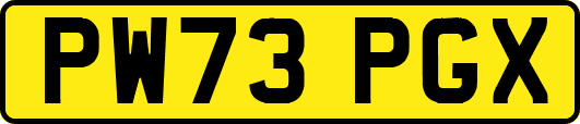 PW73PGX