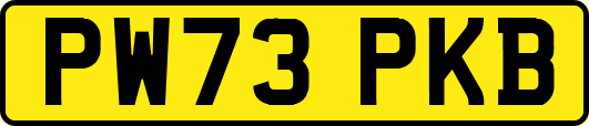 PW73PKB
