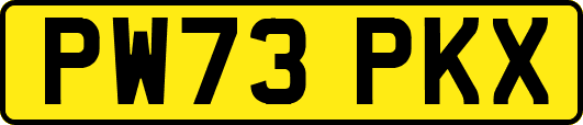 PW73PKX