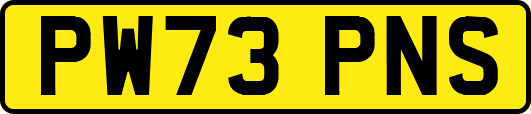 PW73PNS