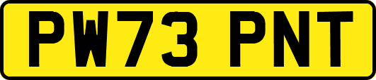 PW73PNT