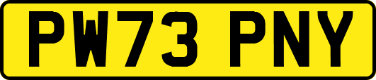 PW73PNY