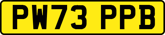 PW73PPB