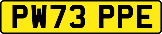 PW73PPE