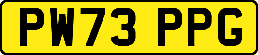 PW73PPG
