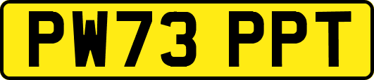 PW73PPT