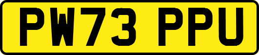 PW73PPU