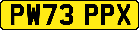 PW73PPX