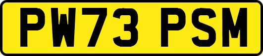 PW73PSM