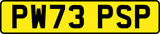 PW73PSP