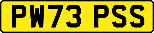 PW73PSS