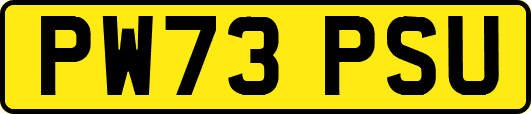 PW73PSU