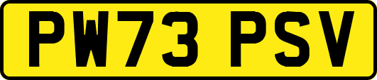 PW73PSV