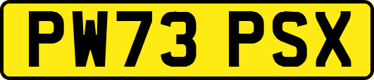 PW73PSX