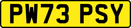PW73PSY