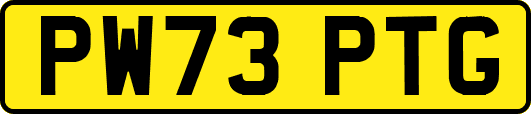 PW73PTG