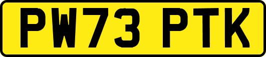 PW73PTK