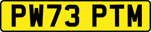 PW73PTM