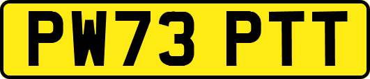 PW73PTT