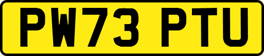 PW73PTU