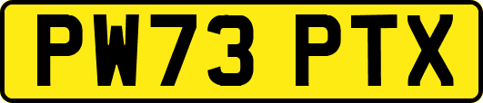 PW73PTX