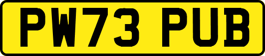 PW73PUB