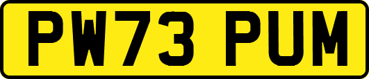 PW73PUM