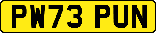 PW73PUN
