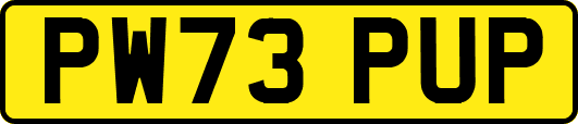 PW73PUP