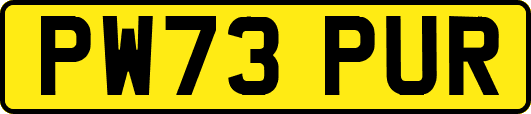 PW73PUR
