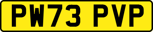 PW73PVP