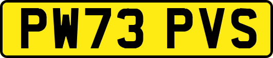PW73PVS