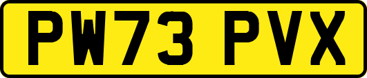 PW73PVX