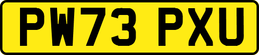 PW73PXU