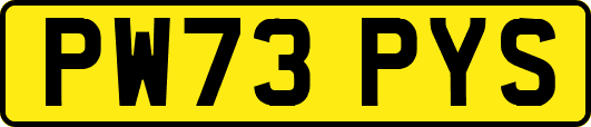 PW73PYS