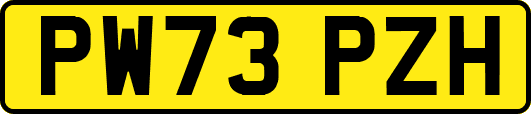 PW73PZH